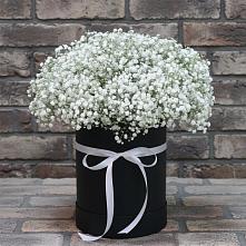 Цветочная композиция из Гипсофила в шляпной коробке #REPLACE_PRED# Рождественский